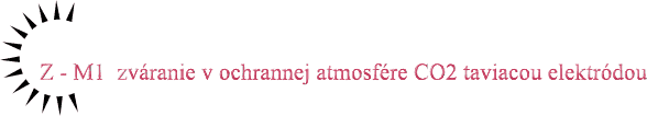 zm1.gif (3760 bytes)